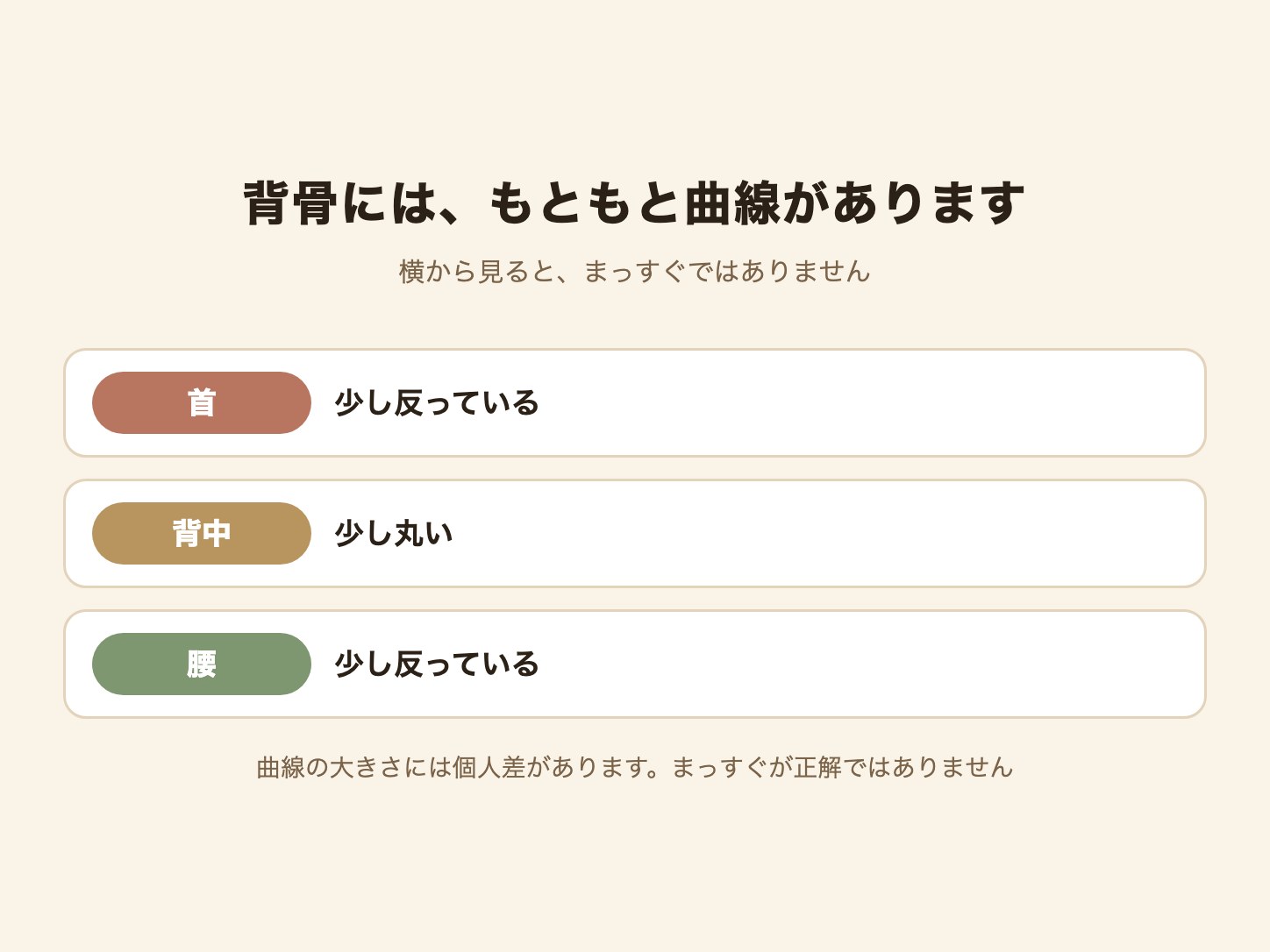 背骨の首・背中・腰にある自然な曲線を整理した図解