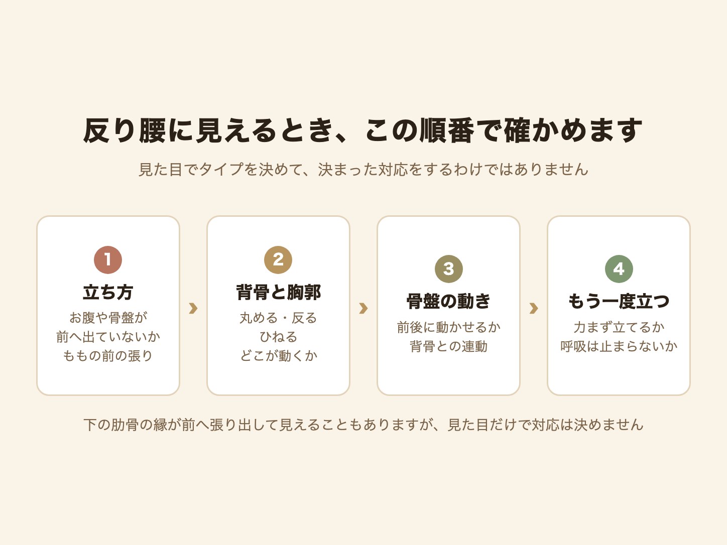 反り腰に見えるときに確かめる順番（立ち方→背骨と胸郭→骨盤の動き→もう一度立つ）の図解