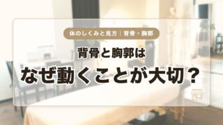 背骨と胸郭はなぜ動くことが大切？首・肩・腰との関係